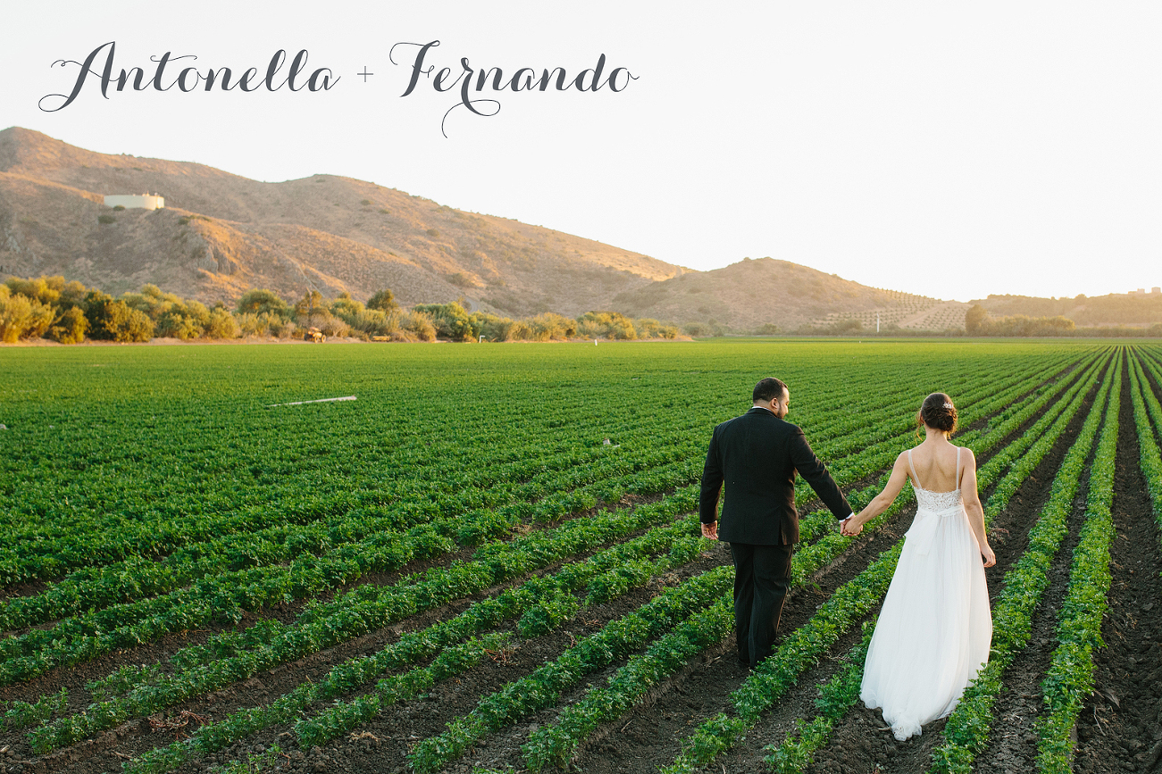 Maravilla Gardens wedding photographers