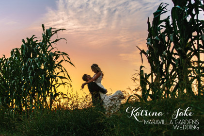 Sunset in the cornfields