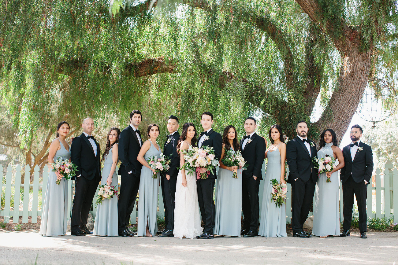 photo of Classic wedding party in a garden under a large tree